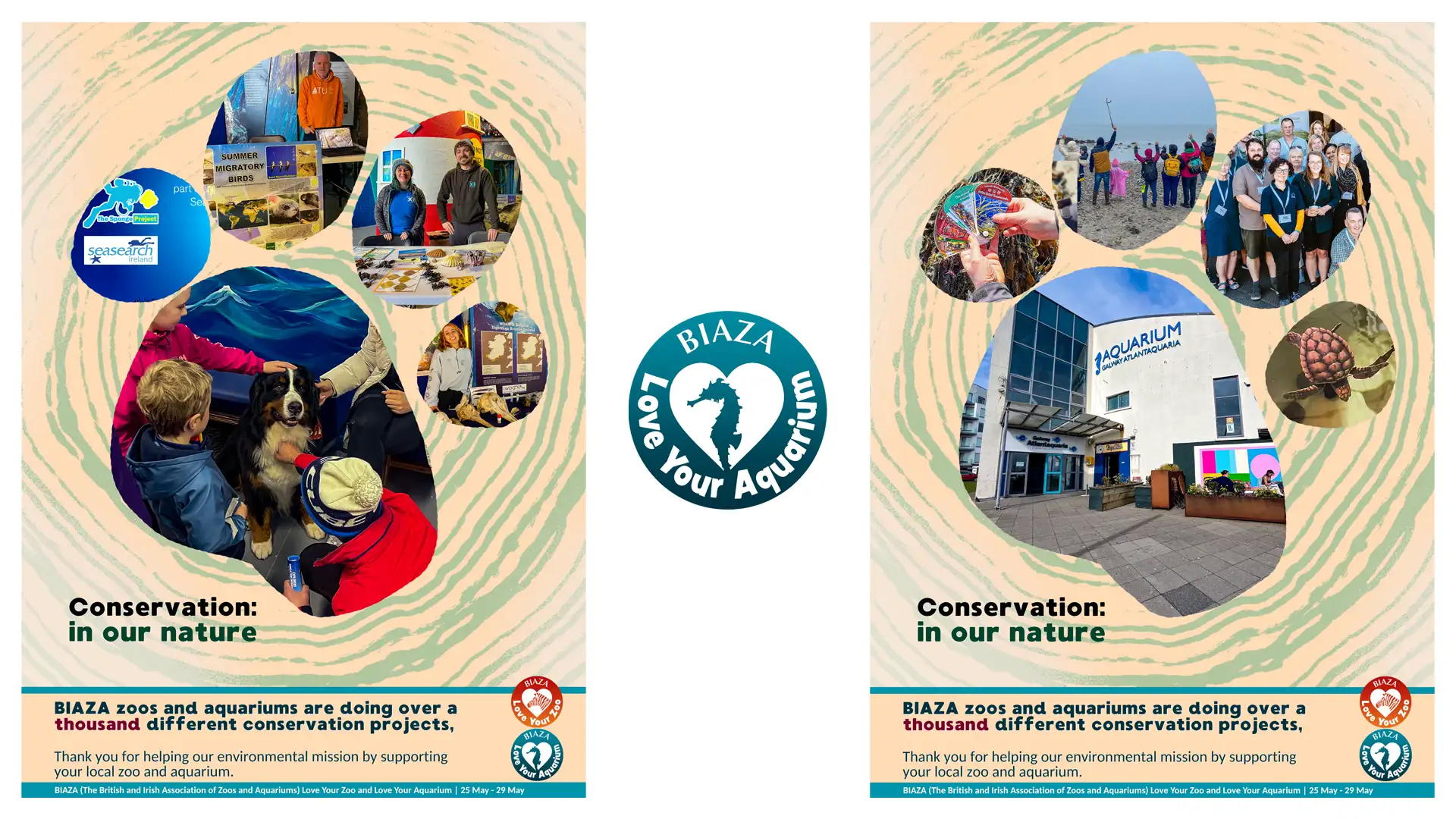Decorative posters showing the community work completed by the Aquarium and its Small Conservation Grants Winners