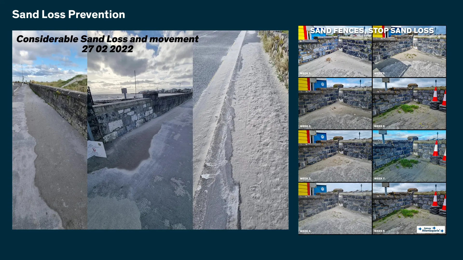 Sand loss prevention with Sand Fences