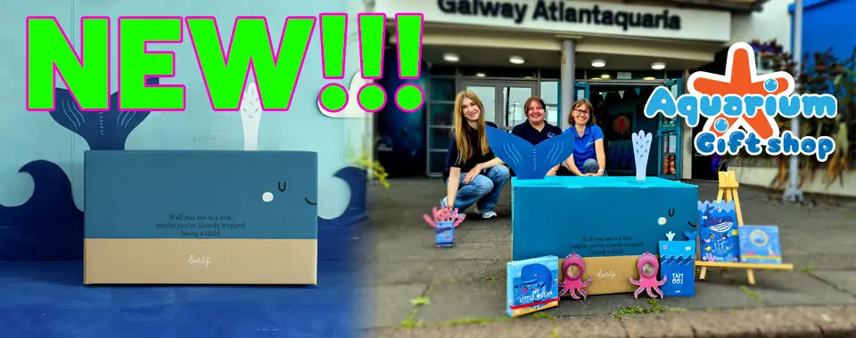 New products arrived in the Aquarium Gift Shop