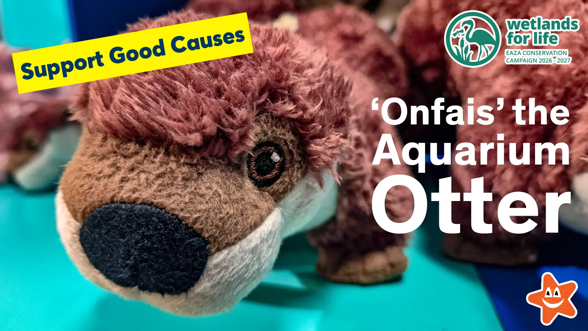 Otter plushy toys in the Aquarium Gift Shop in Salthill
