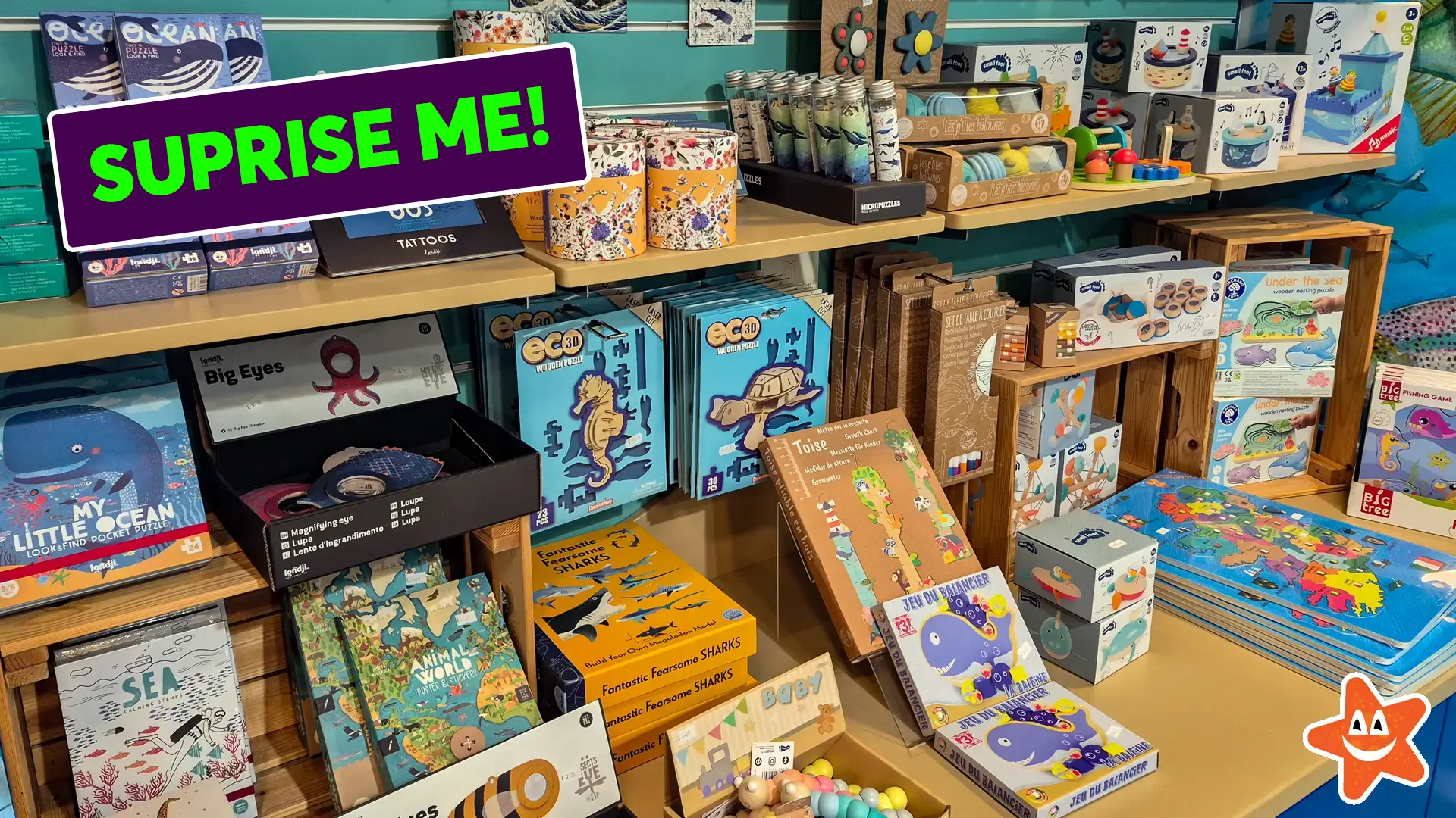 Suprise me! A selection of sustainable and wooden toys in the Aquarium Gift Shop