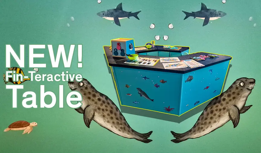 An interactive, educational and fun for kids table in the Aquarium