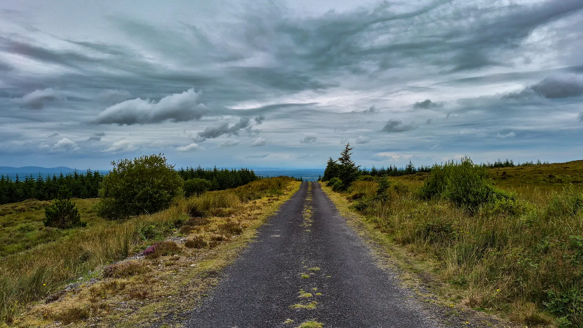 A bog road in Galway