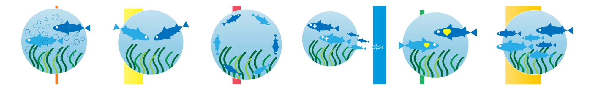 A selection of marine themed education programes for students