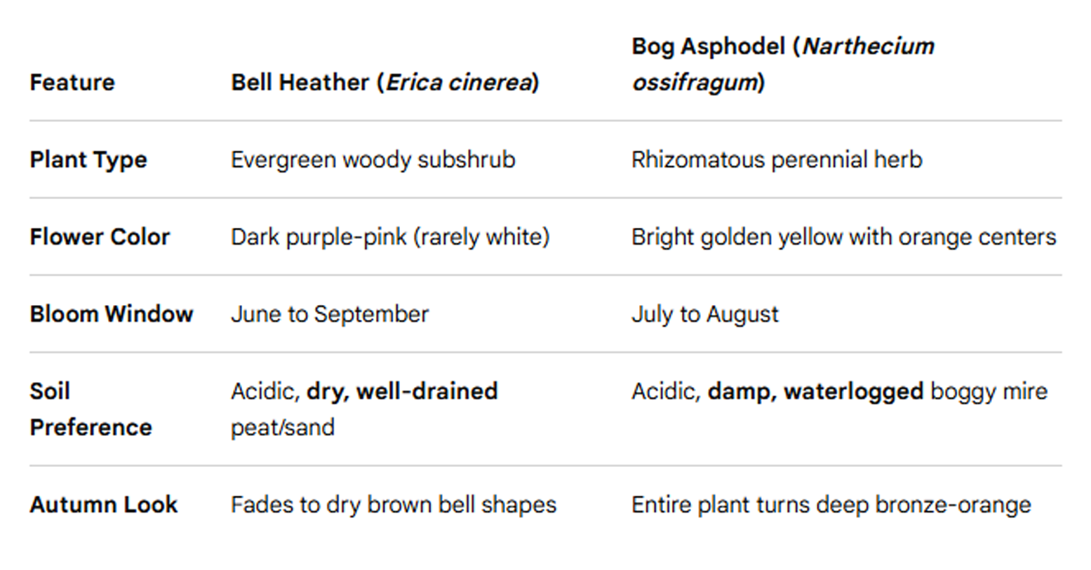 Bog flower Guide