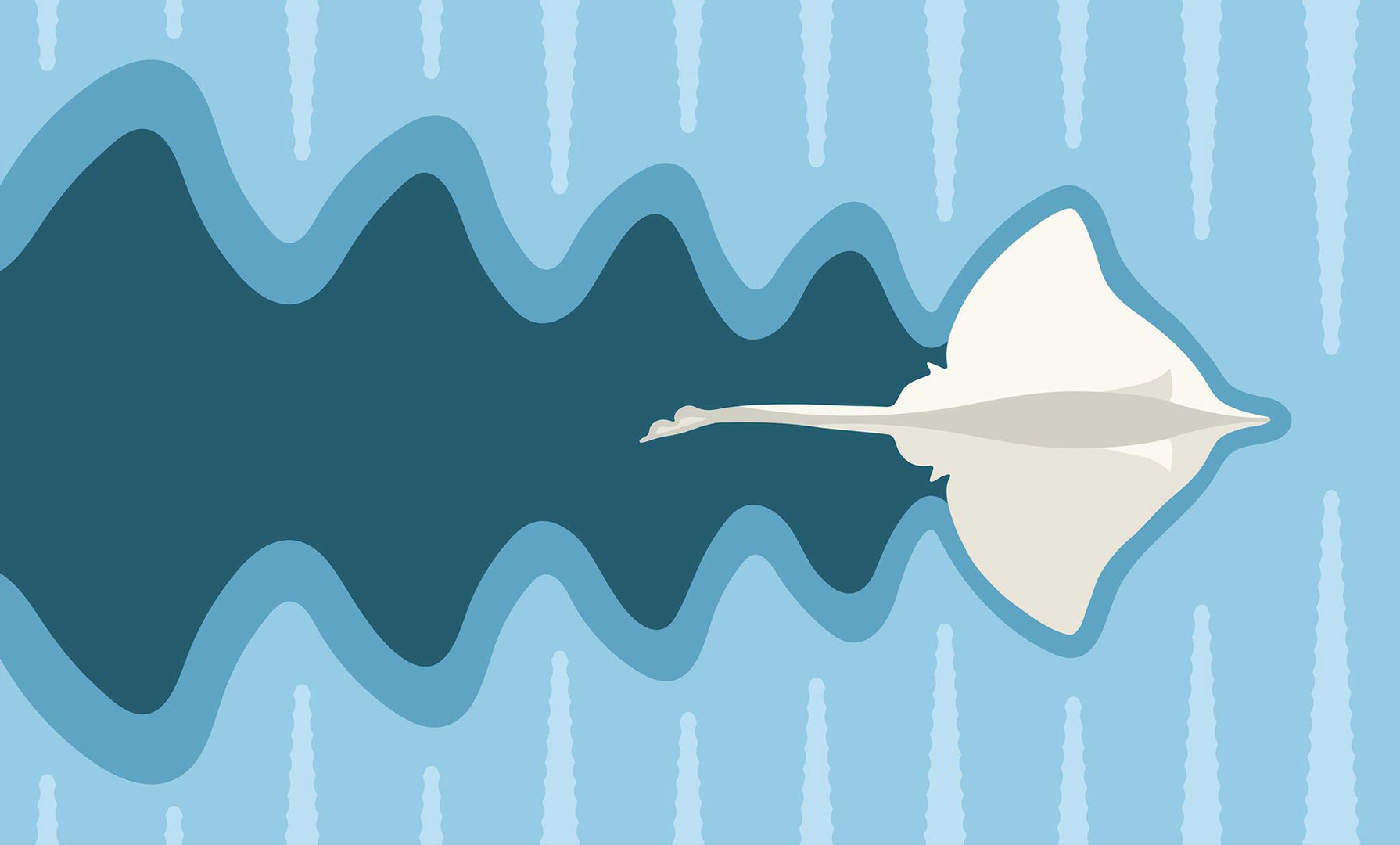 Flag designed by Amelia Walker