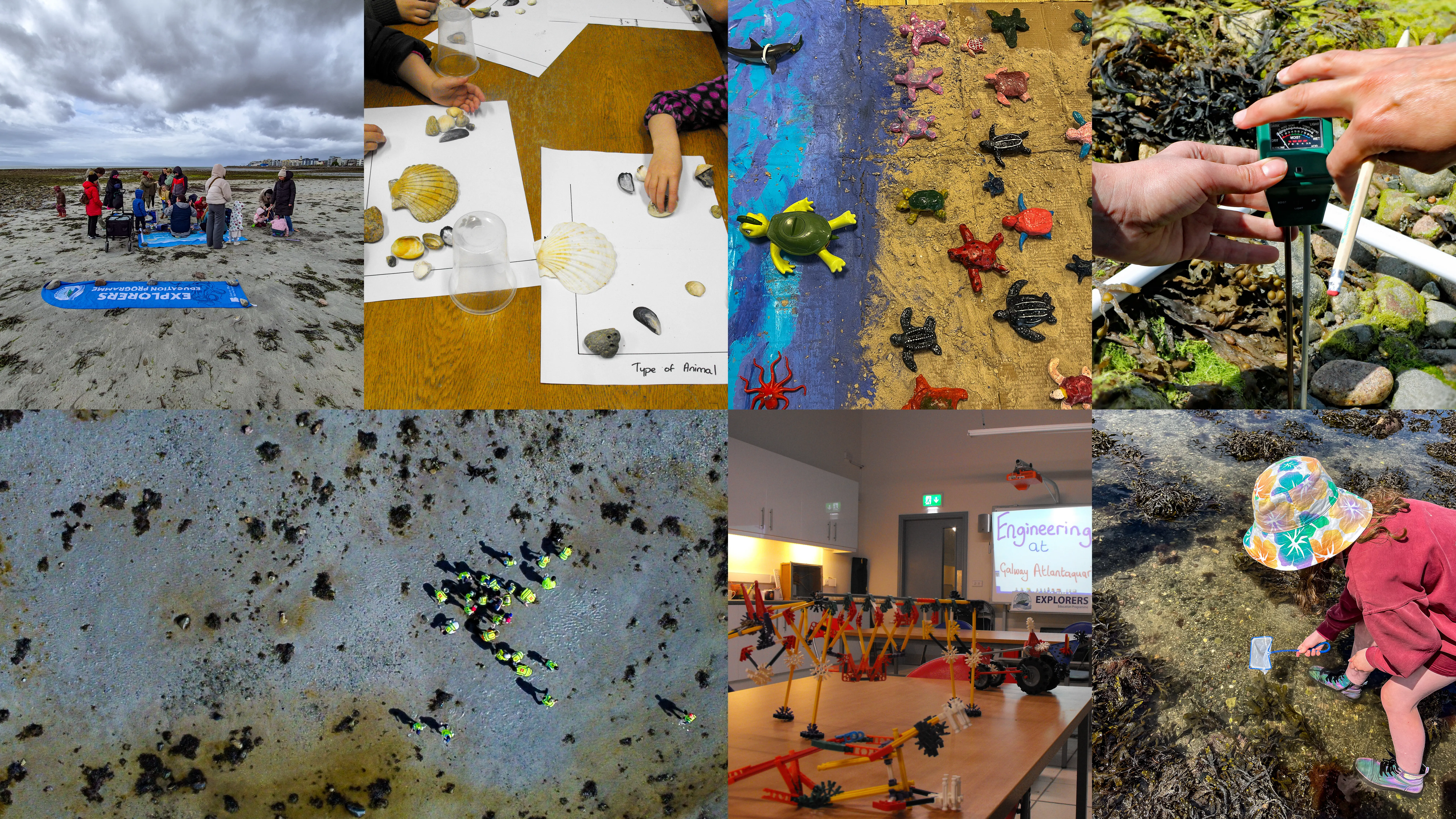 Join the Aquarium education team for a Primary or Post Primary education module in Galway City