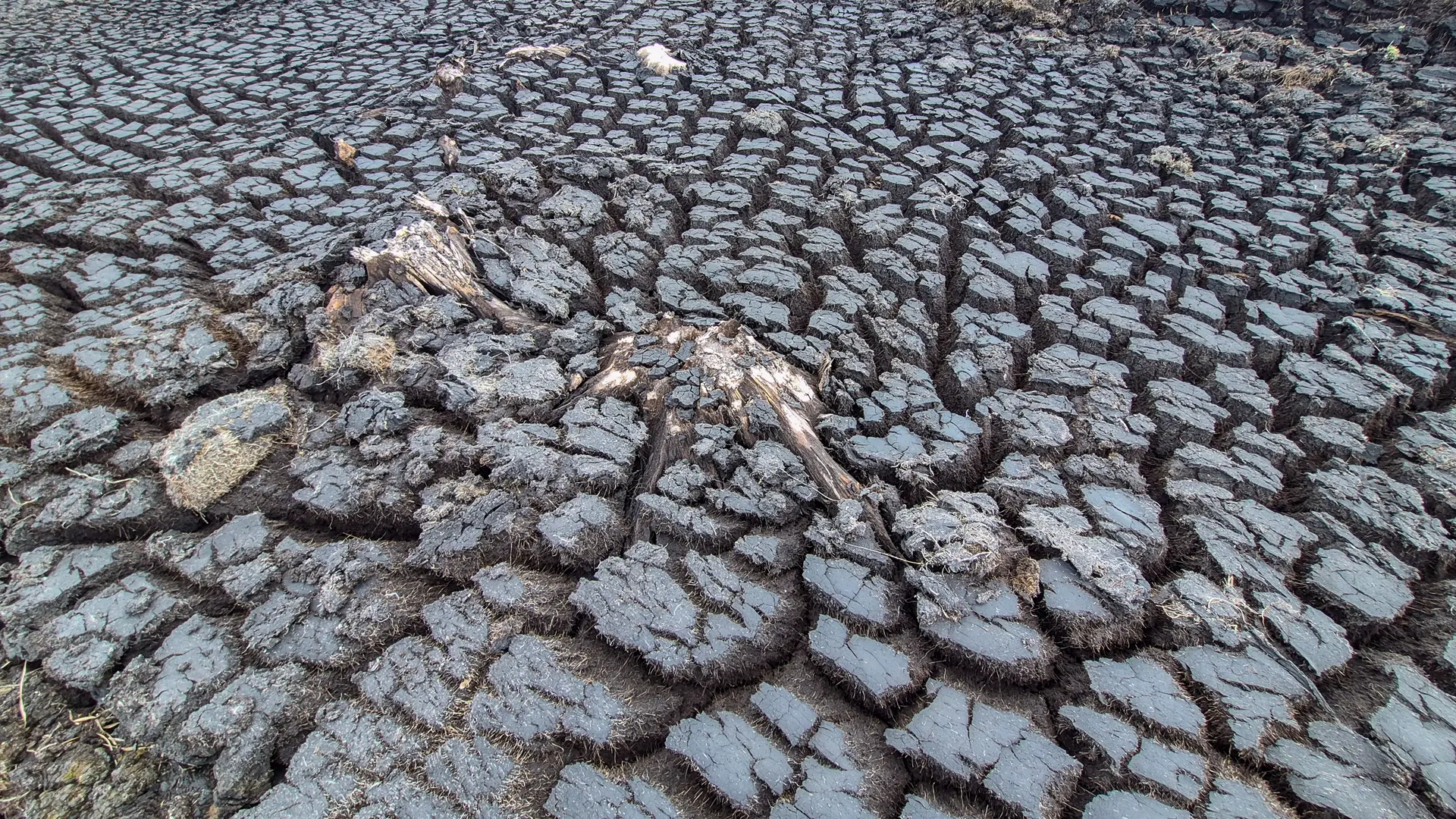 The exposed peat of a bog