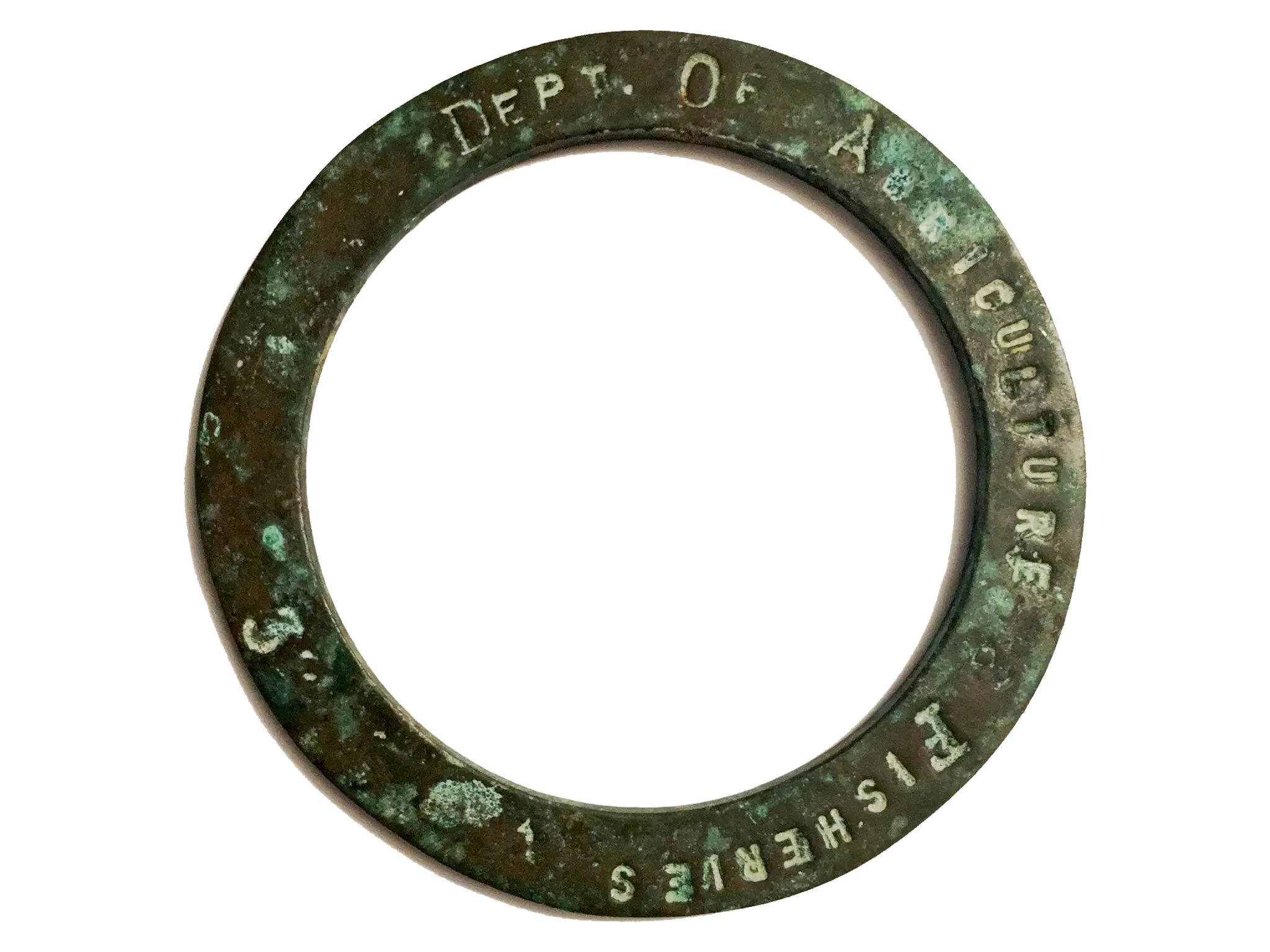 OYSTER RING