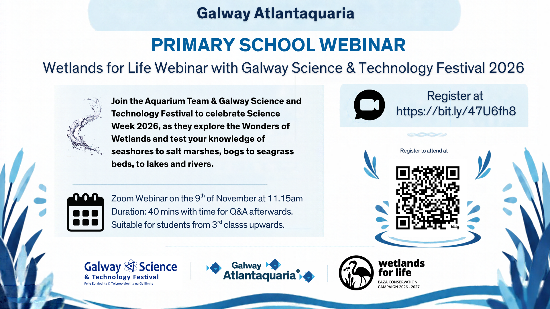 Poster for Primary School Webinar