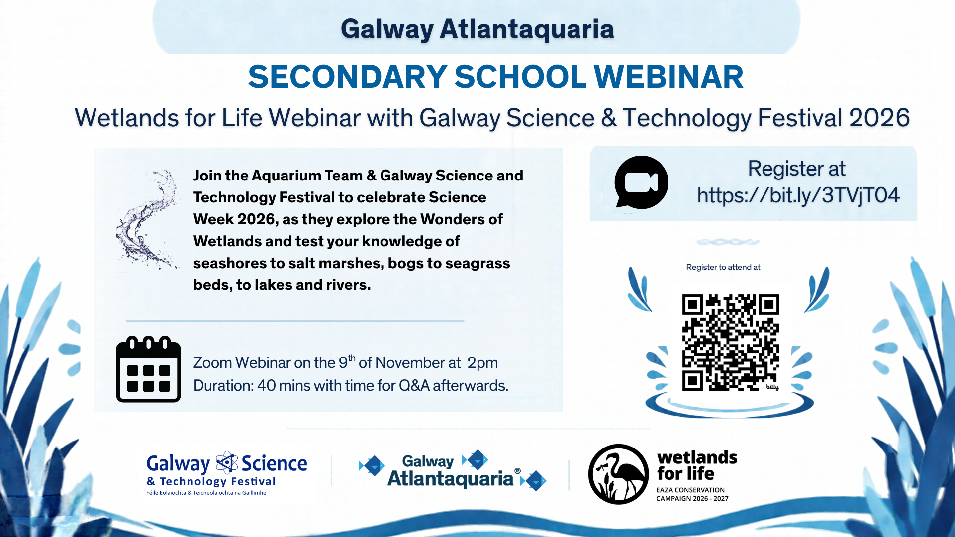 Poster for Secondary School Webinar