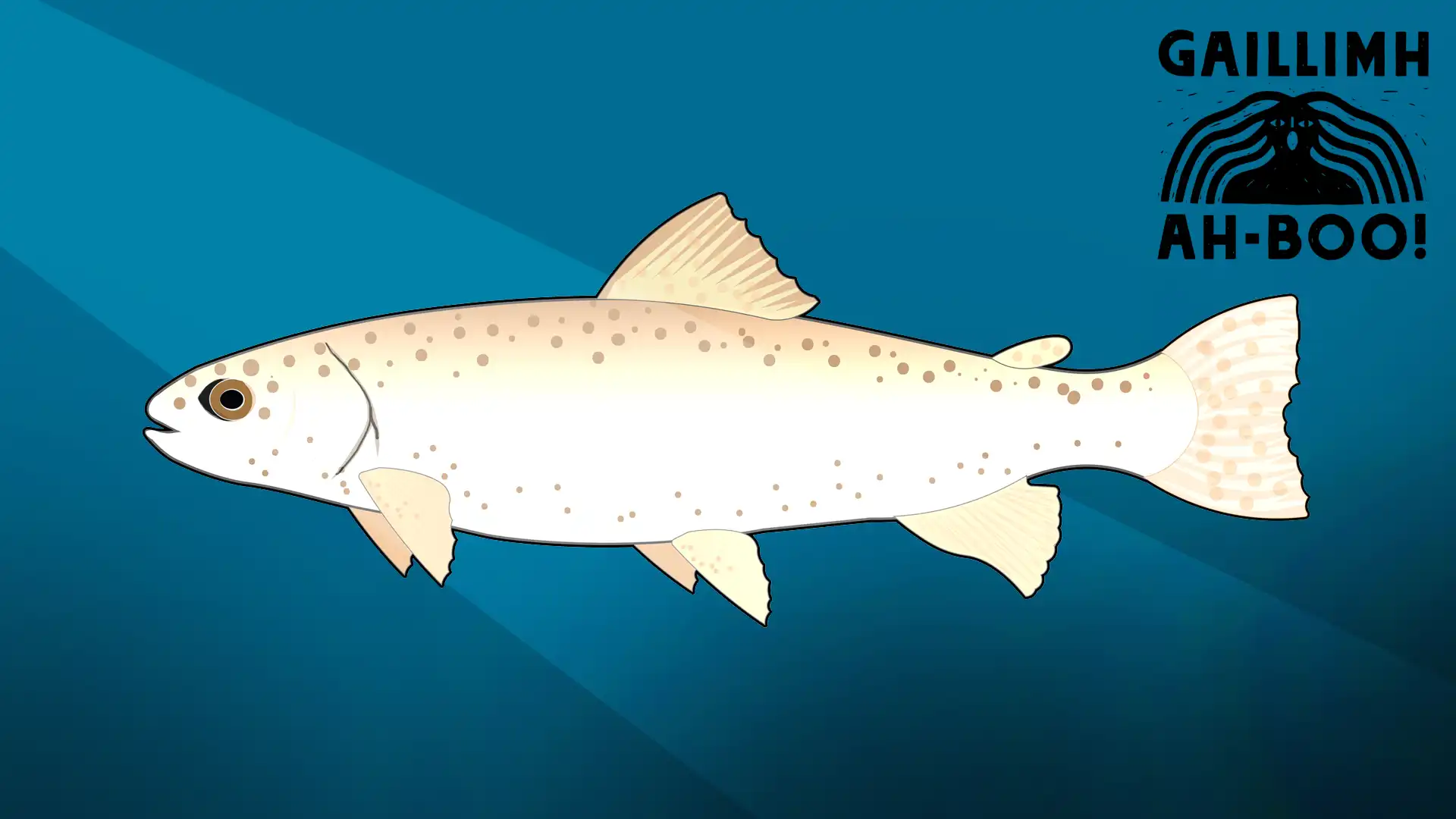 The White Trout Story